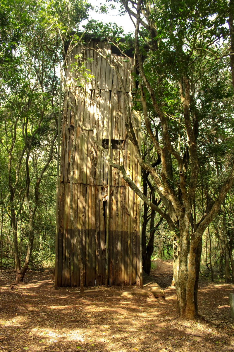 A tall timber hide with a viewing slot near the top, among forest trees beside the path