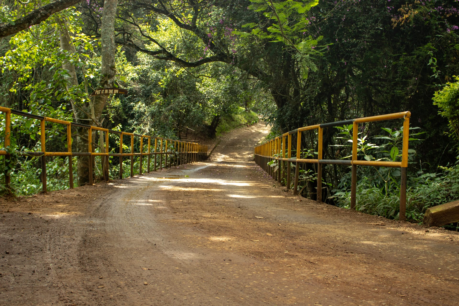 The main trail through Oloolua Forest, shaded by the canopy