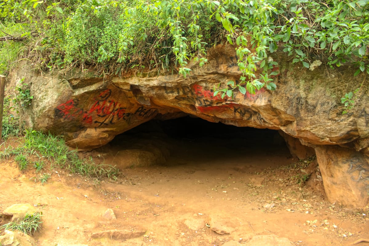 Entrance to the Mau Mau cave beneath rock and vegetation