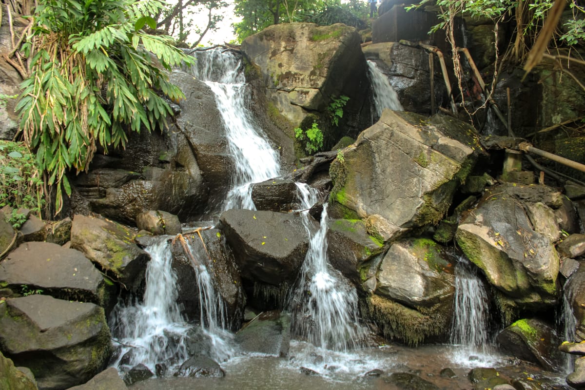 Water cascading over dark boulders beneath ferns